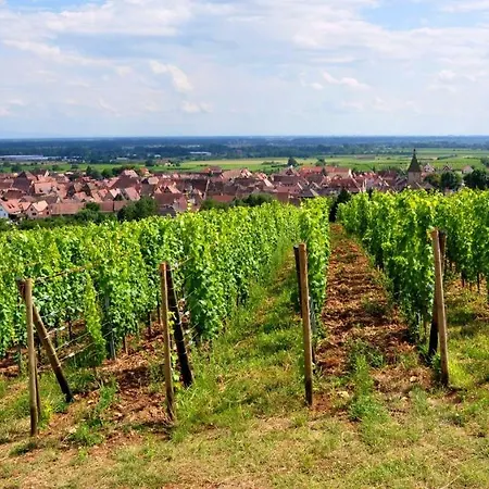 Du Scharrach * Scharrachbergheim-Irmstett